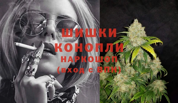 сатива Беломорск