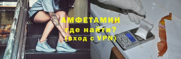 сатива Беломорск