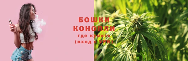 гашик Белоозёрский