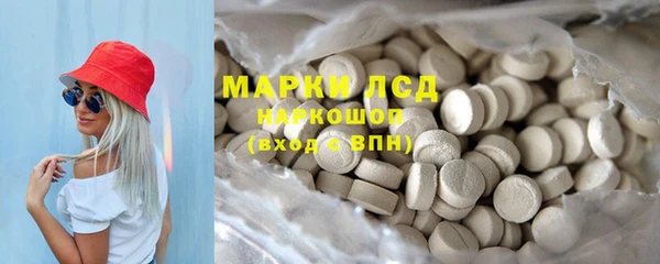 сатива Беломорск