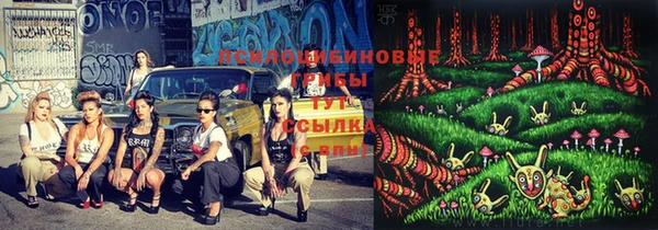 гашик Белоозёрский
