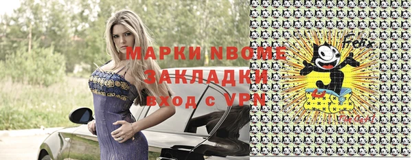 сатива Беломорск