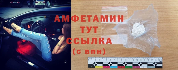 сатива Беломорск