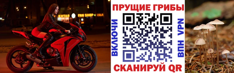 Псилоцибиновые грибы GOLDEN TEACHER Облучье